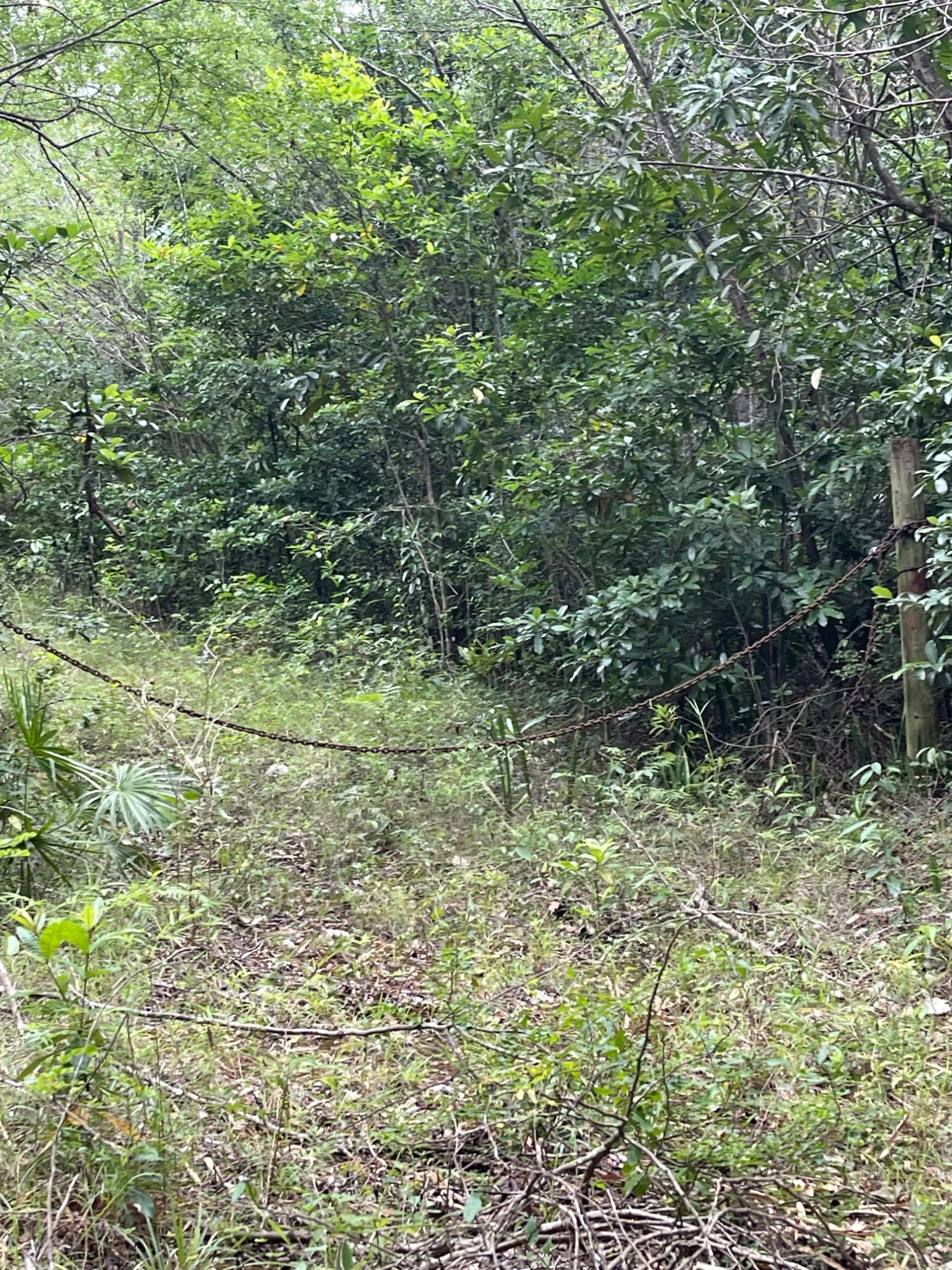 Second image of 1 Paul Mountain in Pauls Mountain, St. Catherine, Jamaica - property is For Sale