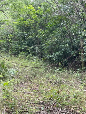 Second image of 1 Paul Mountain in Pauls Mountain, St. Catherine, Jamaica - property is For Sale