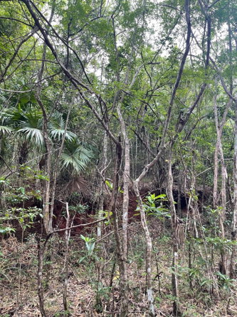 Third image of 1 Paul Mountain in Pauls Mountain, St. Catherine, Jamaica - property is For Sale