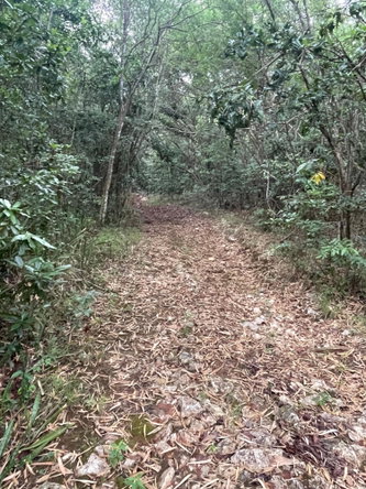 Fourth image of 1 Paul Mountain in Pauls Mountain, St. Catherine, Jamaica - property is For Sale