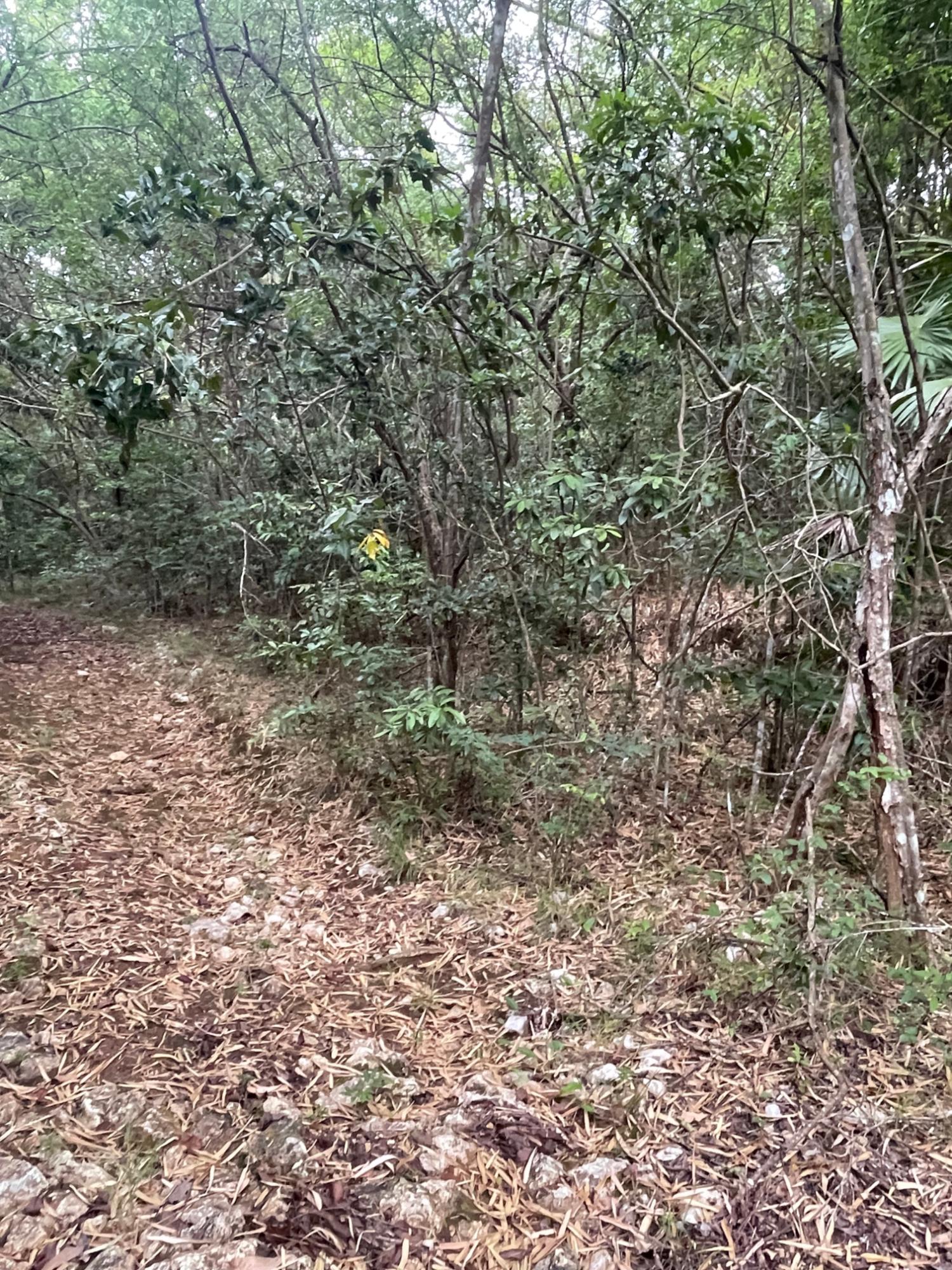 Fifth image of 1 Paul Mountain in Pauls Mountain, St. Catherine, Jamaica - property is For Sale