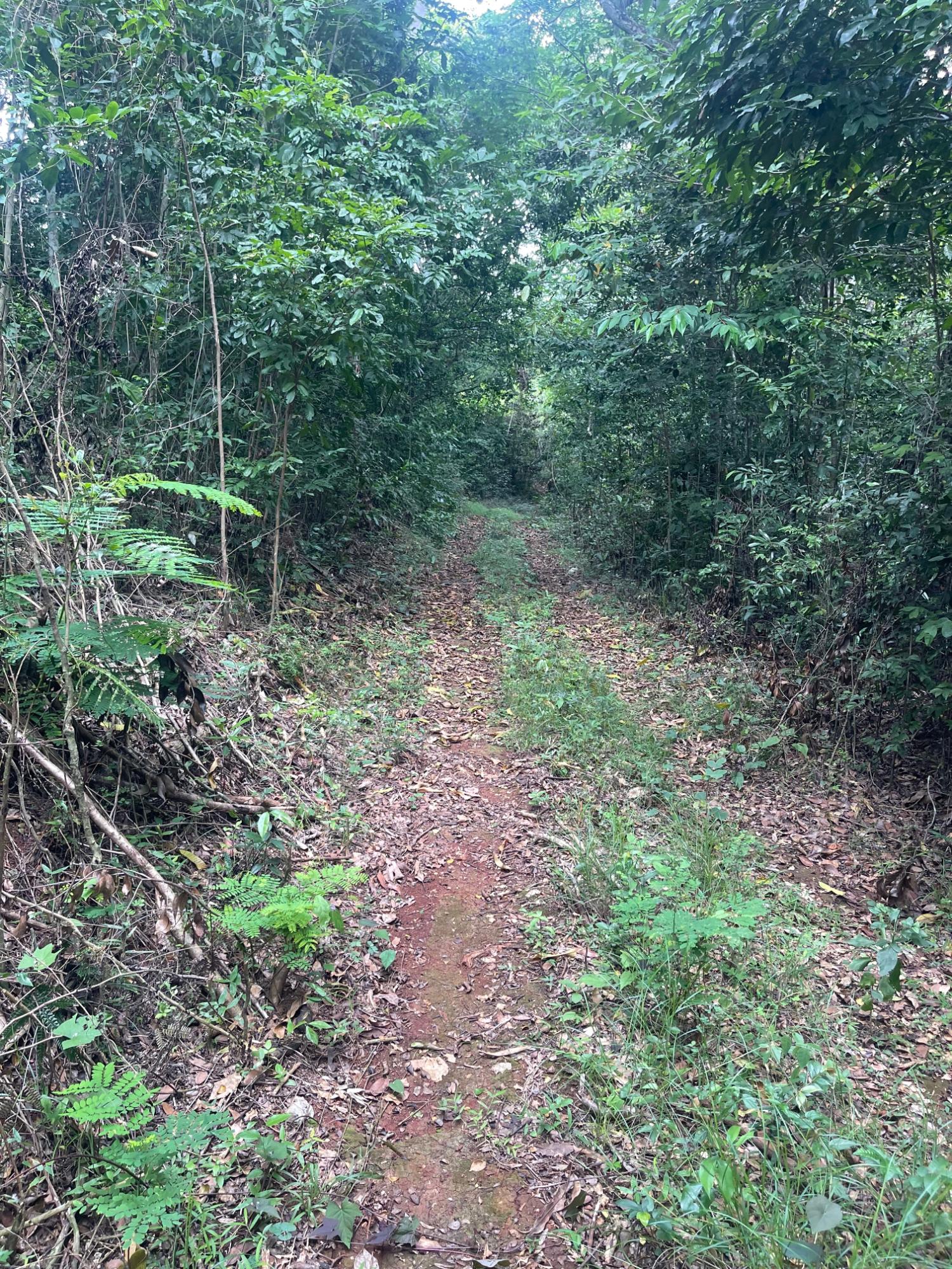 Sixth image of 1 Paul Mountain in Pauls Mountain, St. Catherine, Jamaica - property is For Sale