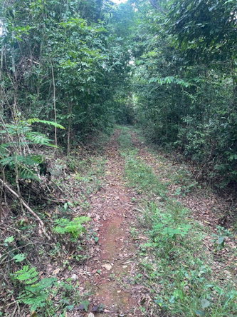 Sixth image of 1 Paul Mountain in Pauls Mountain, St. Catherine, Jamaica - property is For Sale