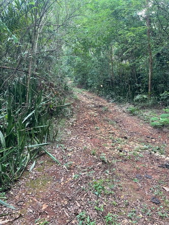 Seventh image of 1 Paul Mountain in Pauls Mountain, St. Catherine, Jamaica - property is For Sale