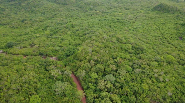 Eighth image of 1 Paul Mountain in Pauls Mountain, St. Catherine, Jamaica - property is For Sale