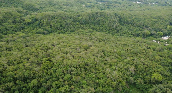 Ninth image of 1 Paul Mountain in Pauls Mountain, St. Catherine, Jamaica - property is For Sale