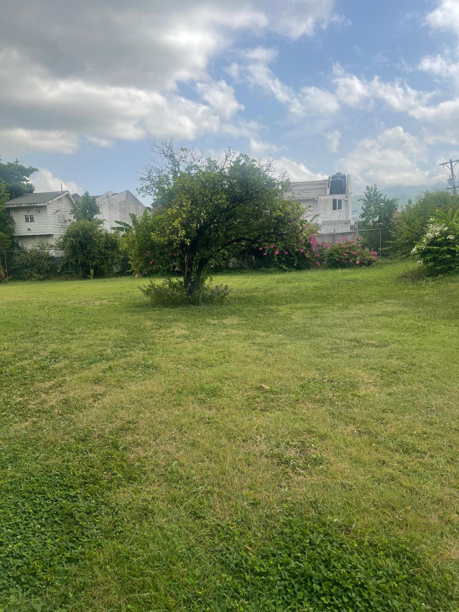 Eighth image of S3-74 Hope Road, Kingston 6 in Kingston 6, St. Andrew, Jamaica - property is For Sale