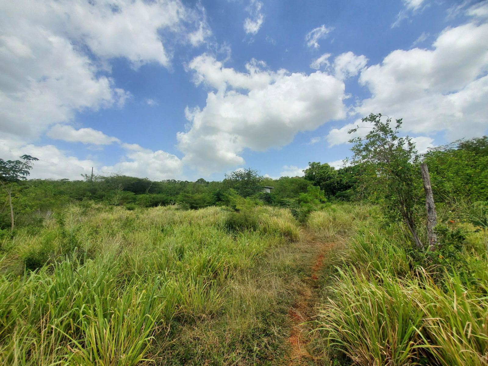 Second image of Downs Watson Hill P.o. in Downs, Manchester, Jamaica - property is For Sale