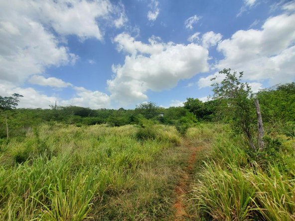 Second image of Downs Watson Hill P.o. in Downs, Manchester, Jamaica - property is For Sale