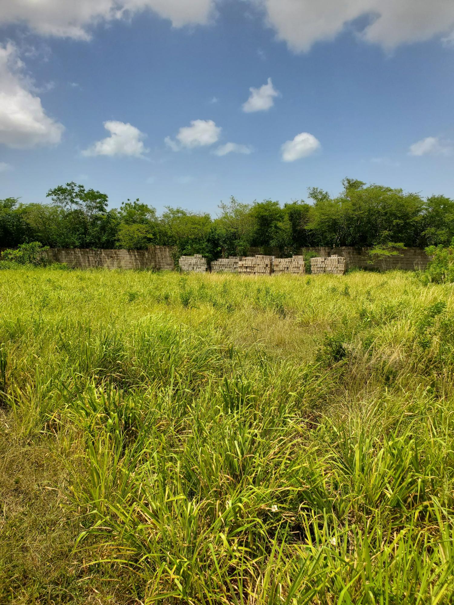 Fourth image of Downs Watson Hill P.o. in Downs, Manchester, Jamaica - property is For Sale