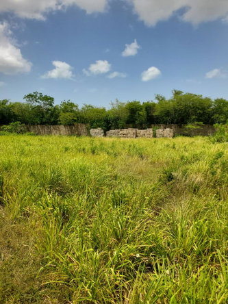 Fourth image of Downs Watson Hill P.o. in Downs, Manchester, Jamaica - property is For Sale