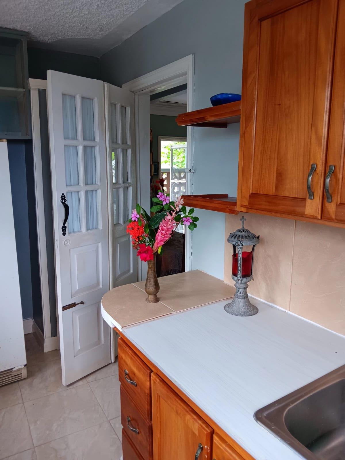 Fifth image of Lot 4 Diamond Ridge, Spring Gar in Spring Garden, Portland, Jamaica - property is For Sale