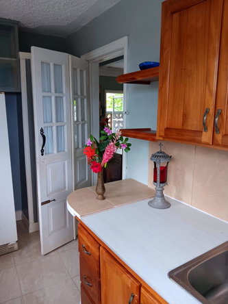 Fifth image of Lot 4 Diamond Ridge, Spring Gar in Spring Garden, Portland, Jamaica - property is For Sale