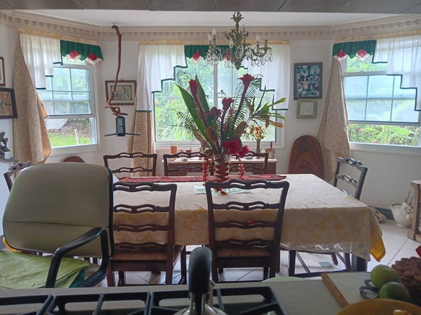 Sixth image of Lot 4 Diamond Ridge, Spring Gar in Spring Garden, Portland, Jamaica - property is For Sale