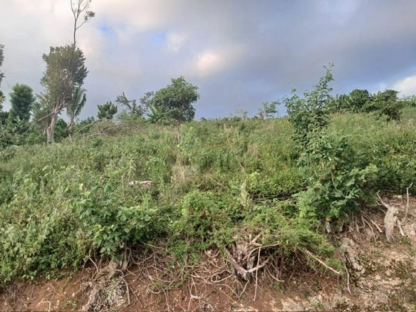 First image of Middlesex, St. Elizabeth in Middlesex, St. Elizabeth, Jamaica - property is For Sale