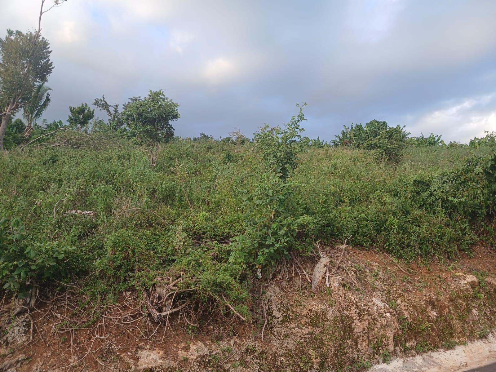 Third image of Middlesex, St. Elizabeth in Middlesex, St. Elizabeth, Jamaica - property is For Sale