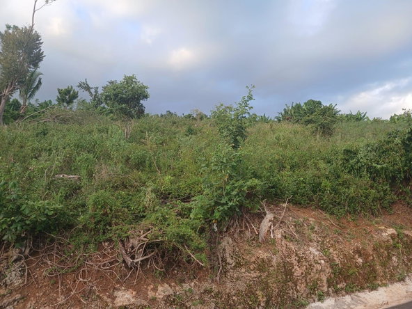 Third image of Middlesex, St. Elizabeth in Middlesex, St. Elizabeth, Jamaica - property is For Sale