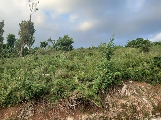 Fifth image of Middlesex, St. Elizabeth in Middlesex, St. Elizabeth, Jamaica - property is For Sale