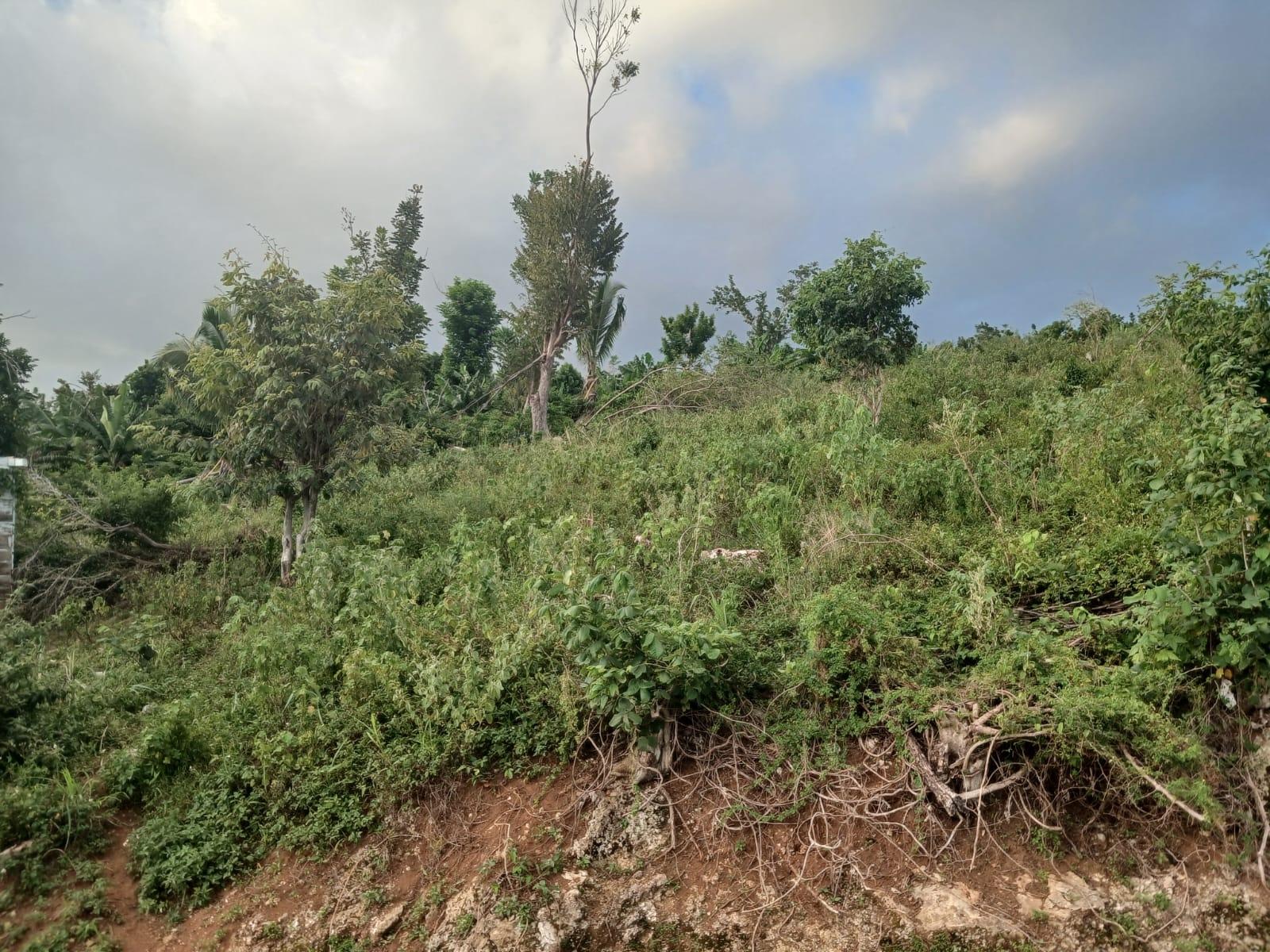 Sixth image of Middlesex, St. Elizabeth in Middlesex, St. Elizabeth, Jamaica - property is For Sale