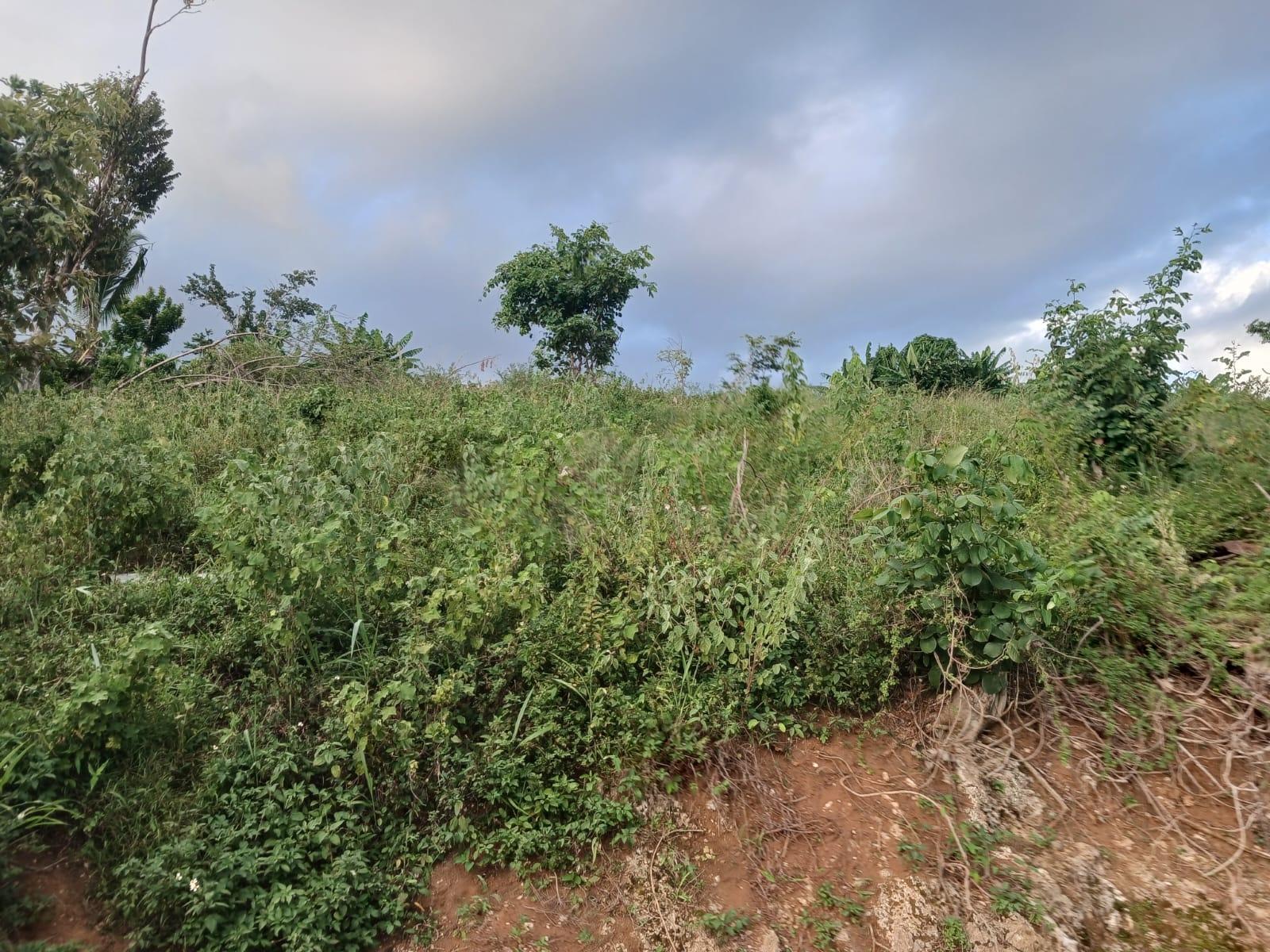 Seventh image of Middlesex, St. Elizabeth in Middlesex, St. Elizabeth, Jamaica - property is For Sale