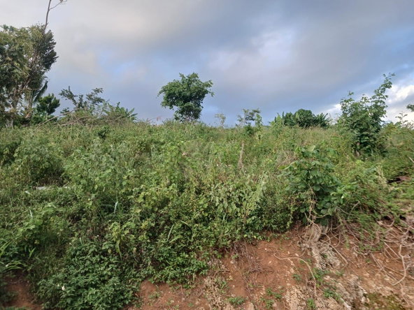 Seventh image of Middlesex, St. Elizabeth in Middlesex, St. Elizabeth, Jamaica - property is For Sale
