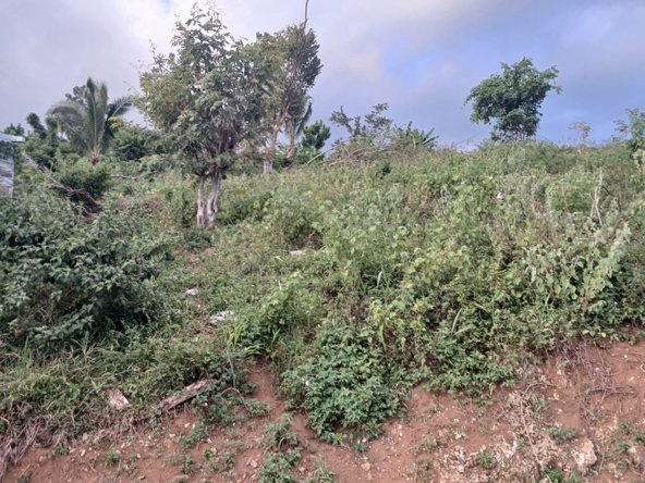 Eighth image of Middlesex, St. Elizabeth in Middlesex, St. Elizabeth, Jamaica - property is For Sale