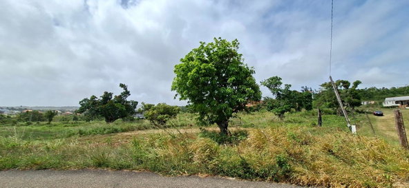 Eighth image of Lovers’ Leap Road, Southf in Southfield, St. Elizabeth, Jamaica - property is For Sale