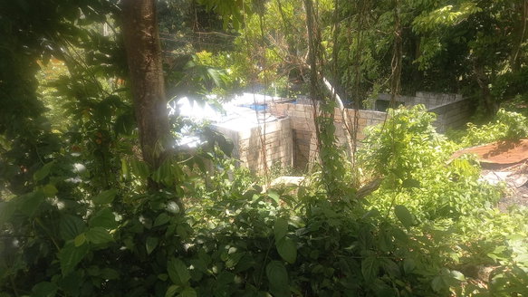 First image of 4 Albany in Albany, St. Mary, Jamaica - property is For Sale