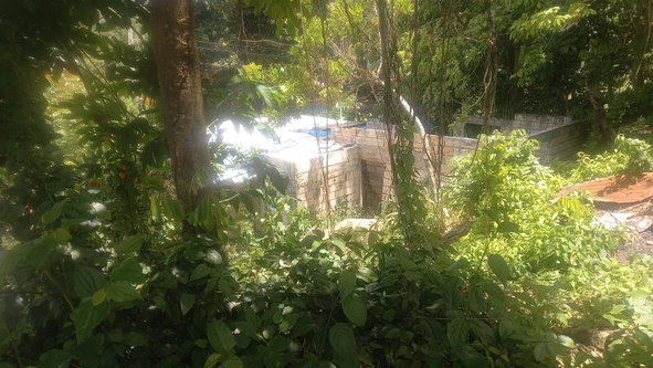 First image of 4 Albany in Albany, St. Mary, Jamaica - property is For Sale