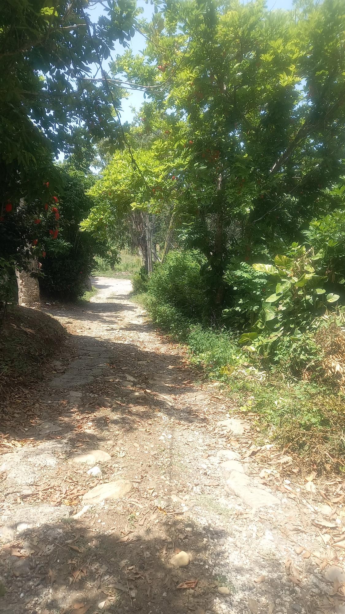 Tenth image of 4 Albany in Albany, St. Mary, Jamaica - property is For Sale