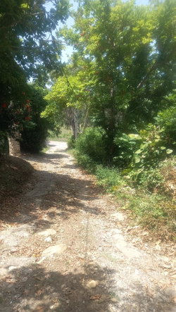 Tenth image of 4 Albany in Albany, St. Mary, Jamaica - property is For Sale