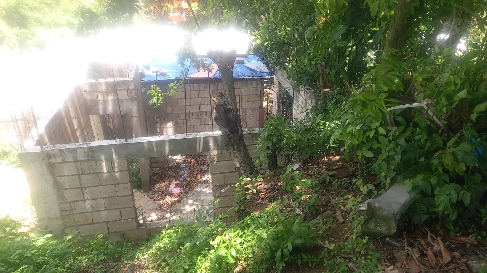 Second image of 4 Albany in Albany, St. Mary, Jamaica - property is For Sale