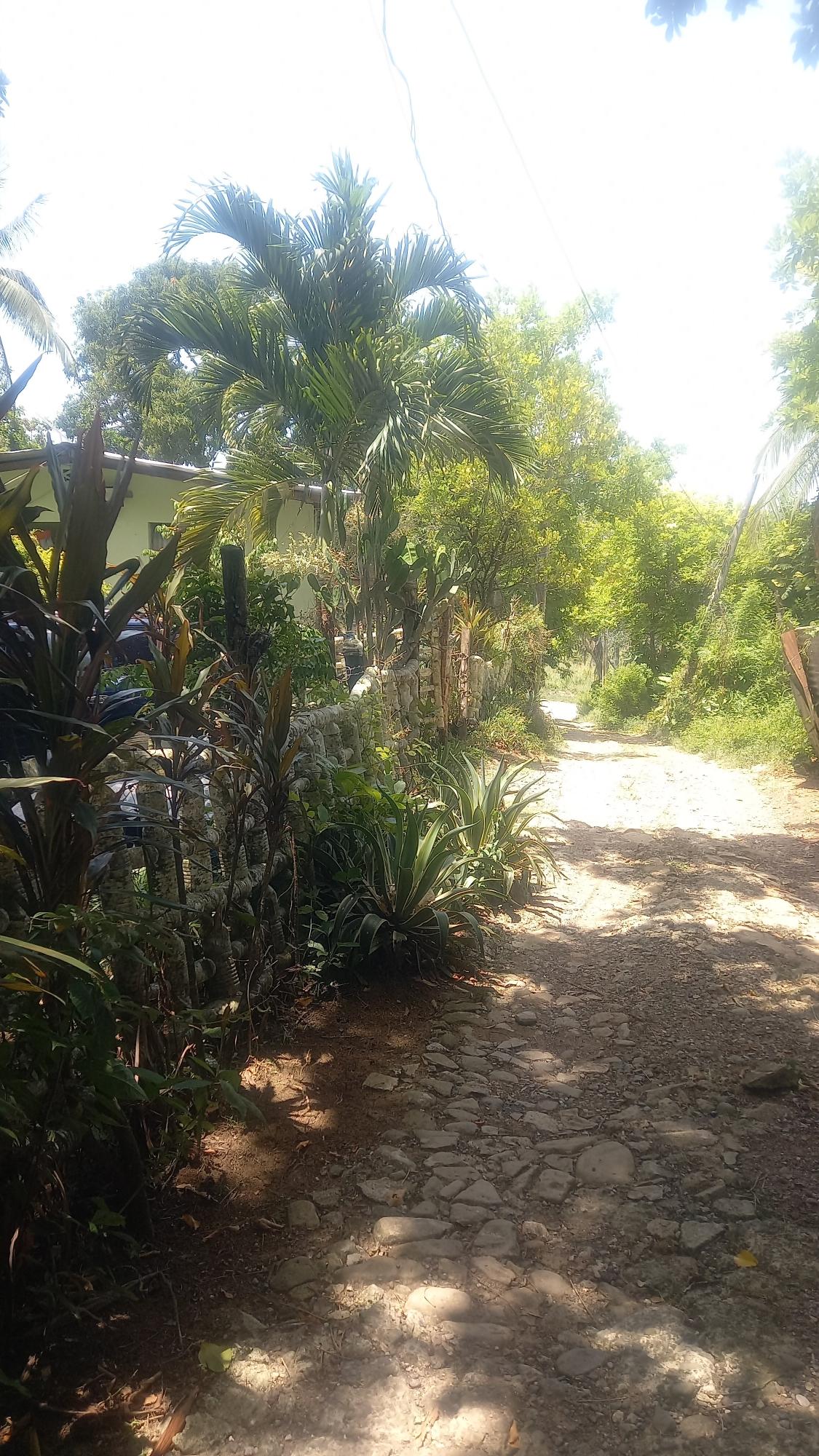 Fourth image of 4 Albany in Albany, St. Mary, Jamaica - property is For Sale