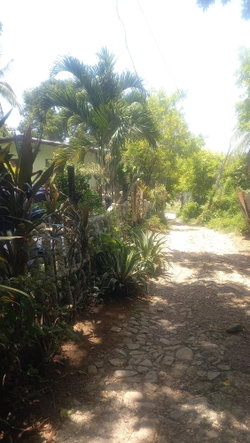 Fourth image of 4 Albany in Albany, St. Mary, Jamaica - property is For Sale