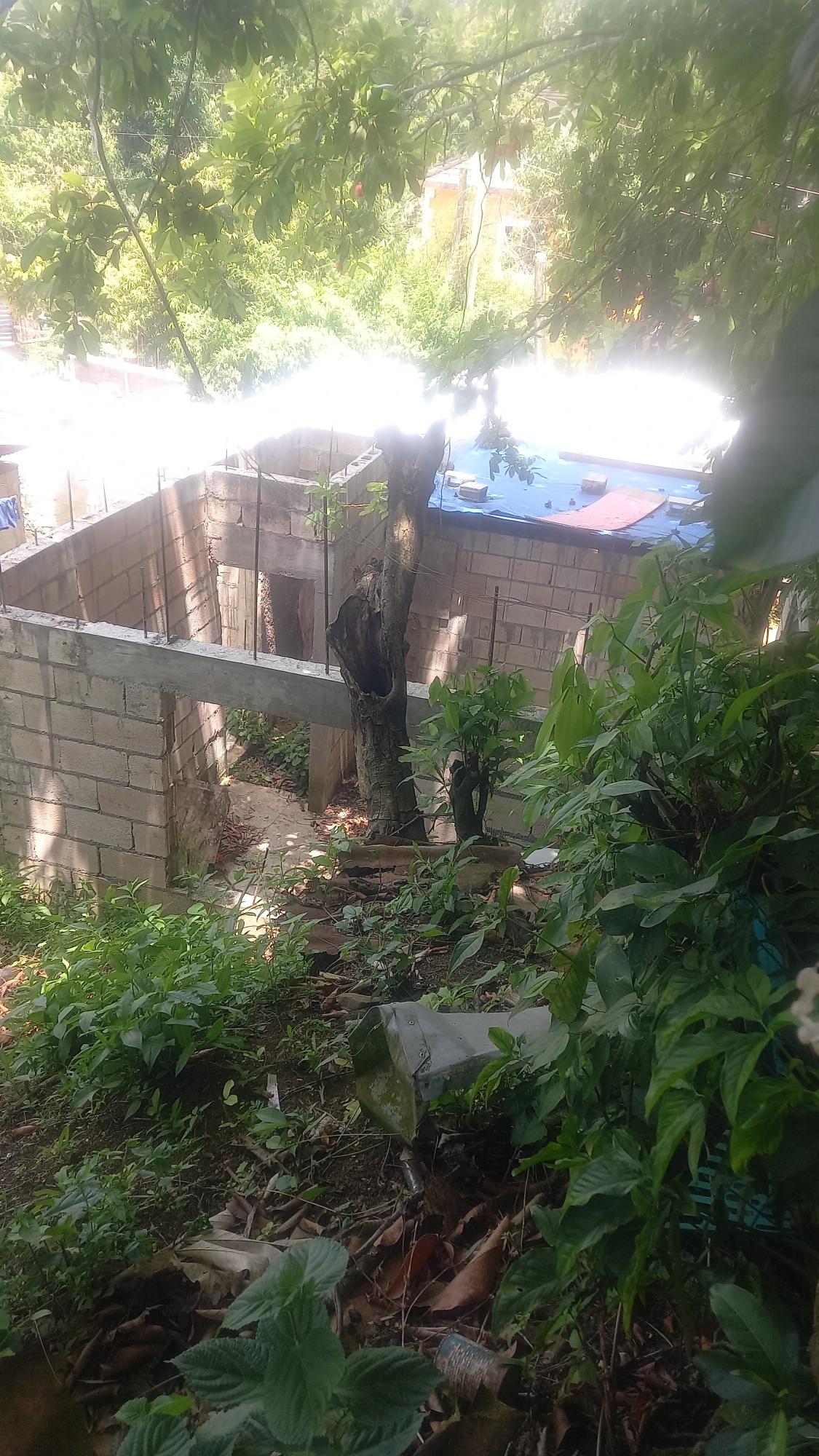 Fifth image of 4 Albany in Albany, St. Mary, Jamaica - property is For Sale