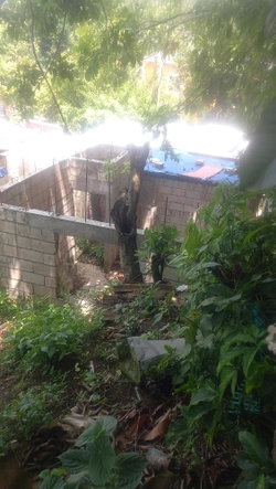 Fifth image of 4 Albany in Albany, St. Mary, Jamaica - property is For Sale