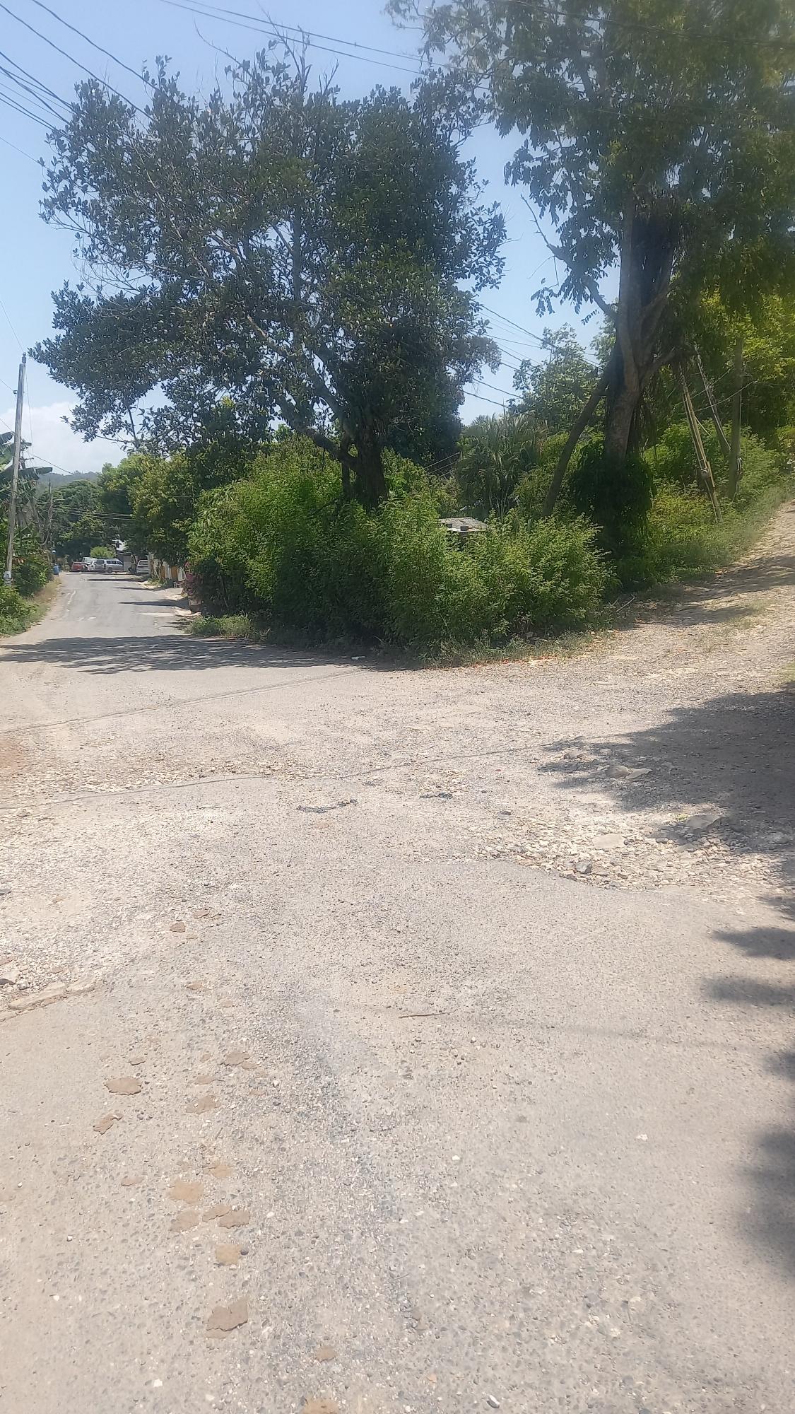 Seventh image of 4 Albany in Albany, St. Mary, Jamaica - property is For Sale