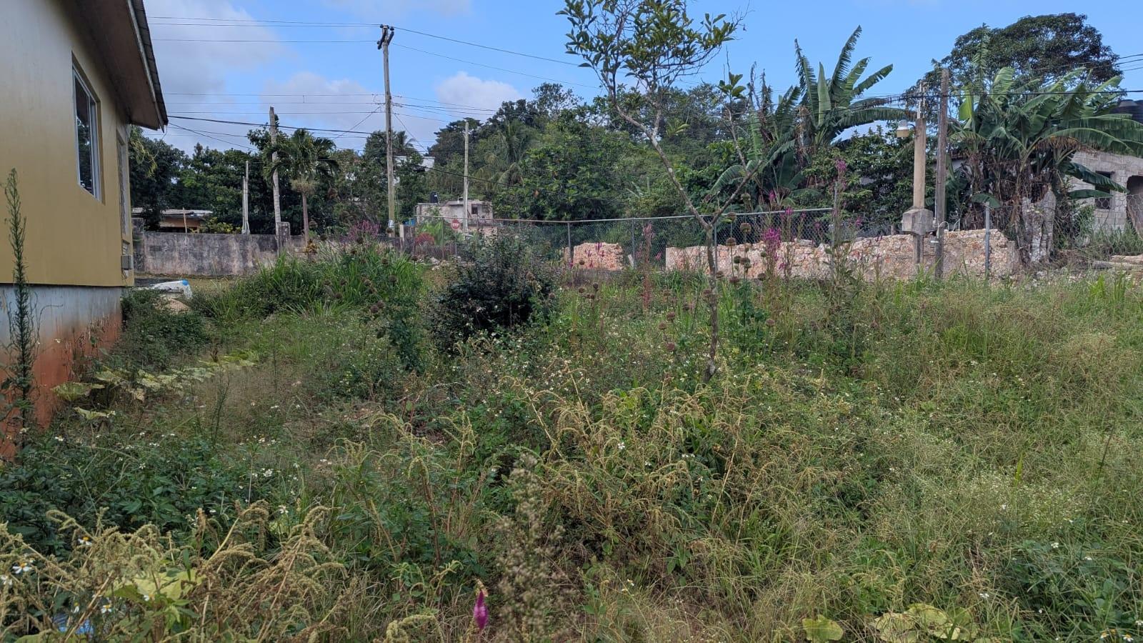 Fifth image of Waltham Road, Mandeville in Mandeville, Manchester, Jamaica - property is For Sale