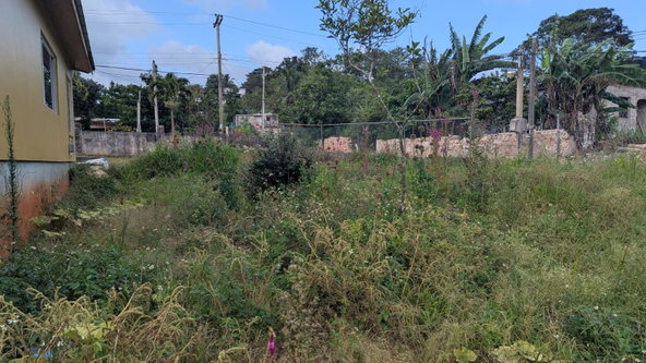 Fifth image of Waltham Road, Mandeville in Mandeville, Manchester, Jamaica - property is For Sale