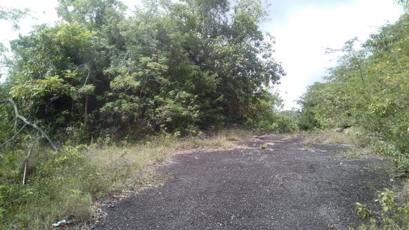 Second image of 40- Huddersfield in Huddersfield Heights, St. Mary, Jamaica - property is For Sale