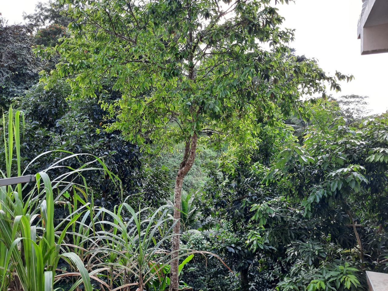 Tenth image of 93a Golden Spring Road in Kingston 9, St. Andrew, Jamaica - property is For Rent