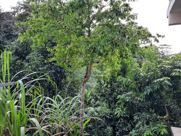 Tenth image of 93a Golden Spring Road in Kingston 9, St. Andrew, Jamaica - property is For Rent