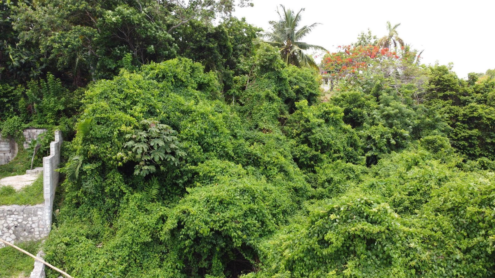 Fourteenth image of Unity Hall in Unity Hall, St. James, Jamaica - property is For Sale