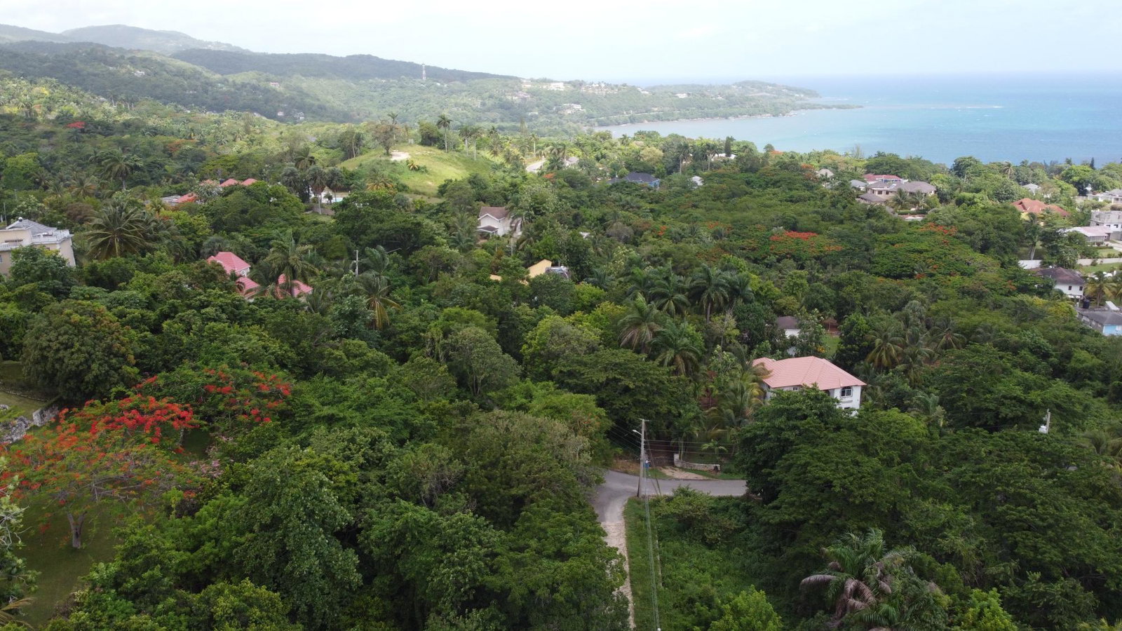 Sixteenth image of Unity Hall in Unity Hall, St. James, Jamaica - property is For Sale