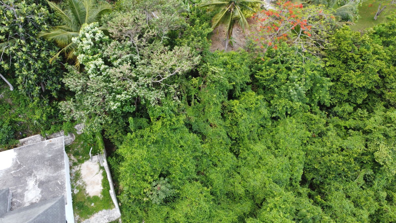Nineteenth image of Unity Hall in Unity Hall, St. James, Jamaica - property is For Sale