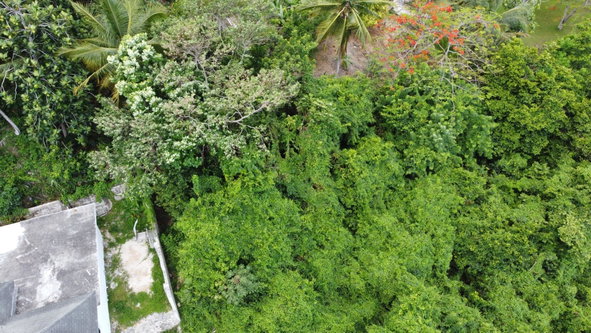 Nineteenth image of Unity Hall in Unity Hall, St. James, Jamaica - property is For Sale