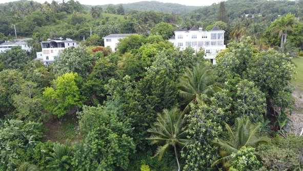 Twentieth image of Unity Hall in Unity Hall, St. James, Jamaica - property is For Sale