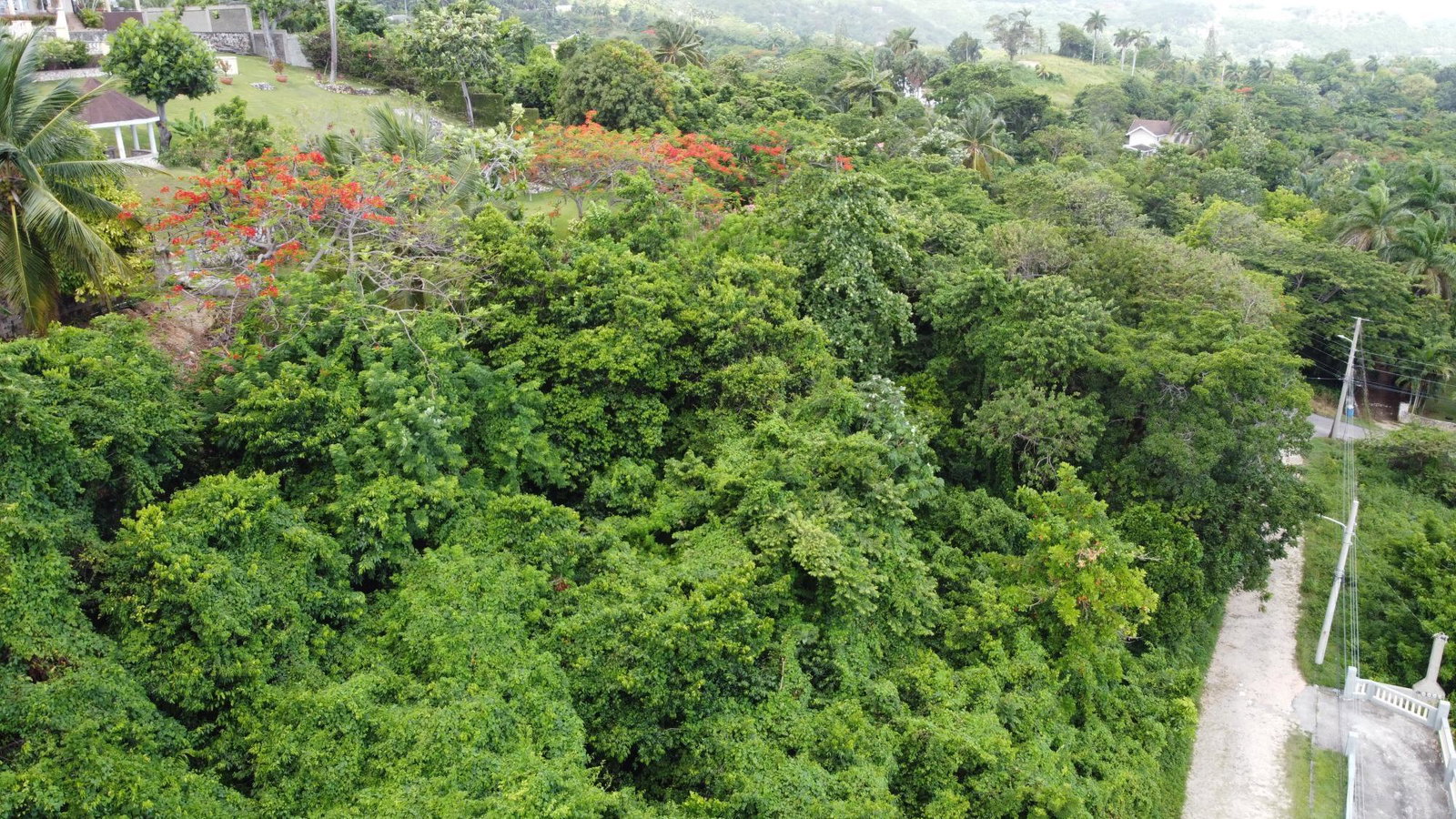 Third image of Unity Hall in Unity Hall, St. James, Jamaica - property is For Sale