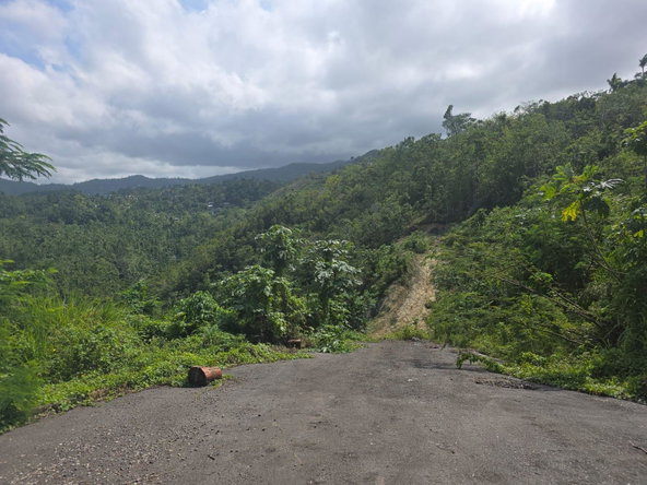 Third image of 1b- Sussex in St. Ann's Bay, St. Ann, Jamaica - property is For Sale