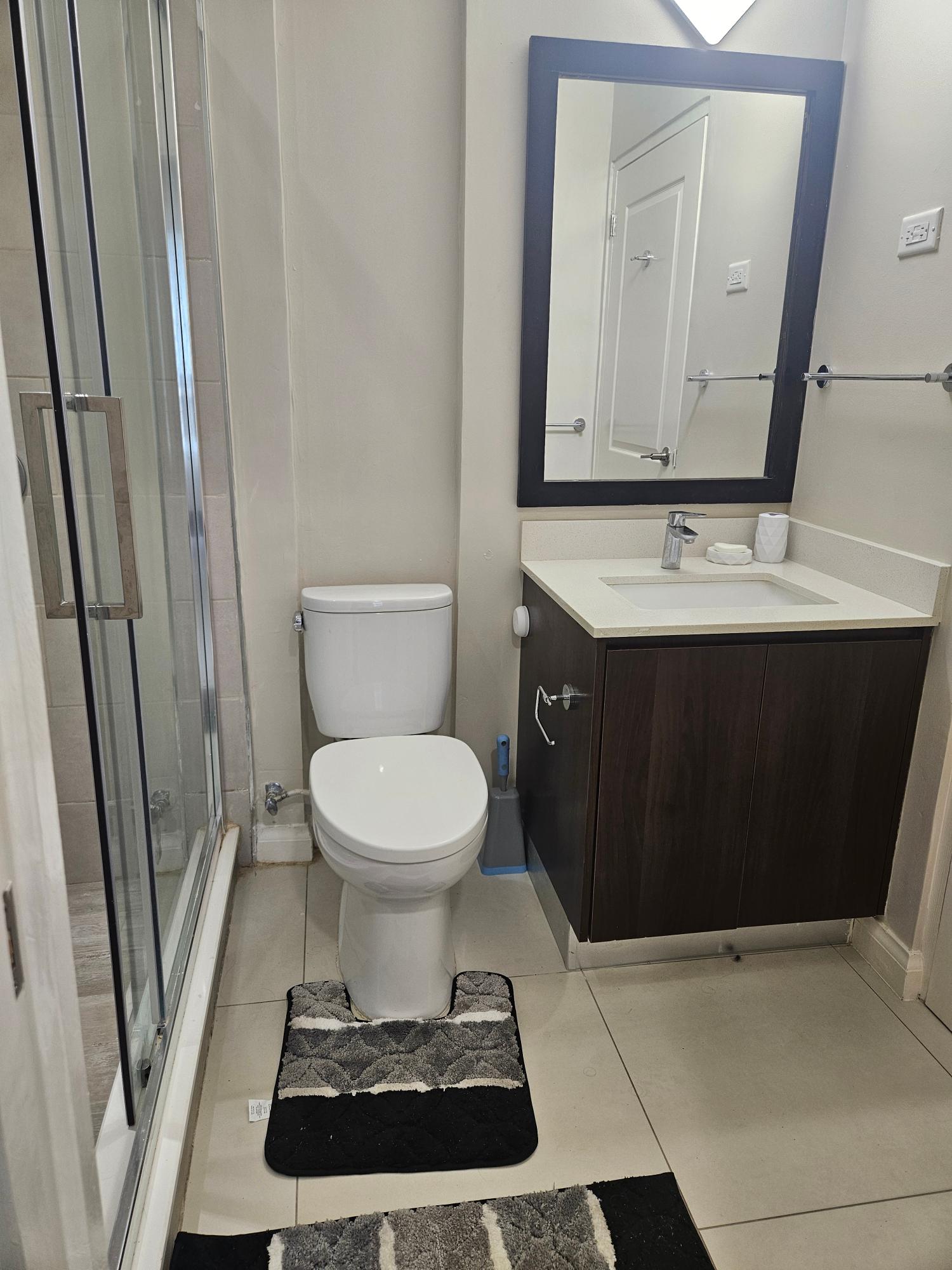 Twenty-First image of 209-4 Musgrave Avenue in Kingston 5, St. Andrew, Jamaica - property is For Rent